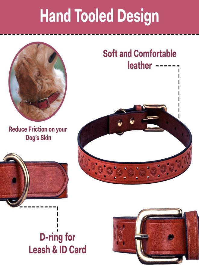 ADIL'S Adil’S Hand-Tooled Leather Dog Collar 1 Inch Width, Adjustable Sizes, Soft Padded Comfort with D-Ring & Sturdy Metal Buckle - Ideal for Small to Large Dogs, Maroon Colour, Size: S - Image 2